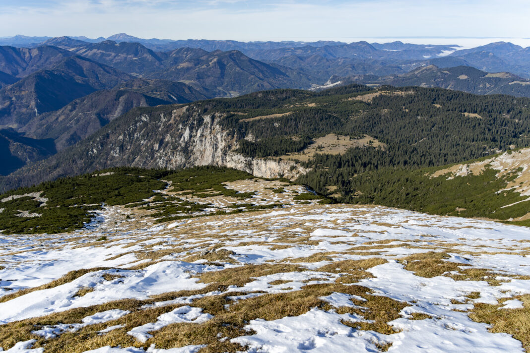 Blick zurück auf den Aufstiegsweg durch die Latschen links