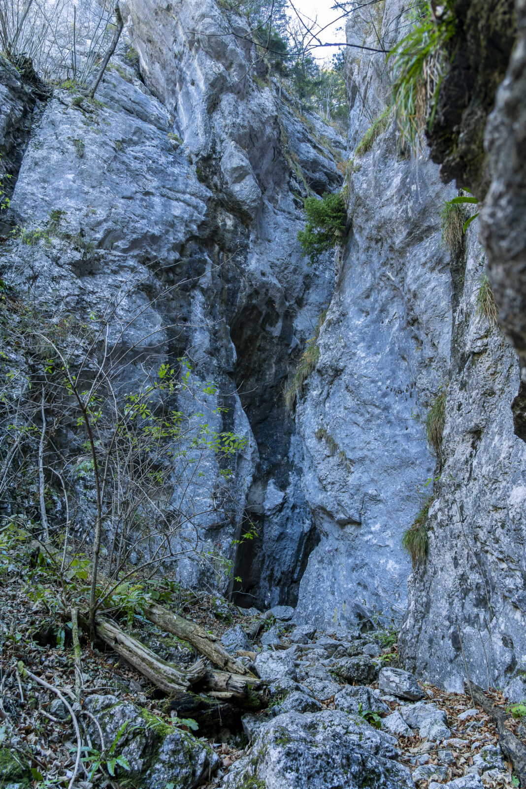 Das Tor zur Weichtalklamm