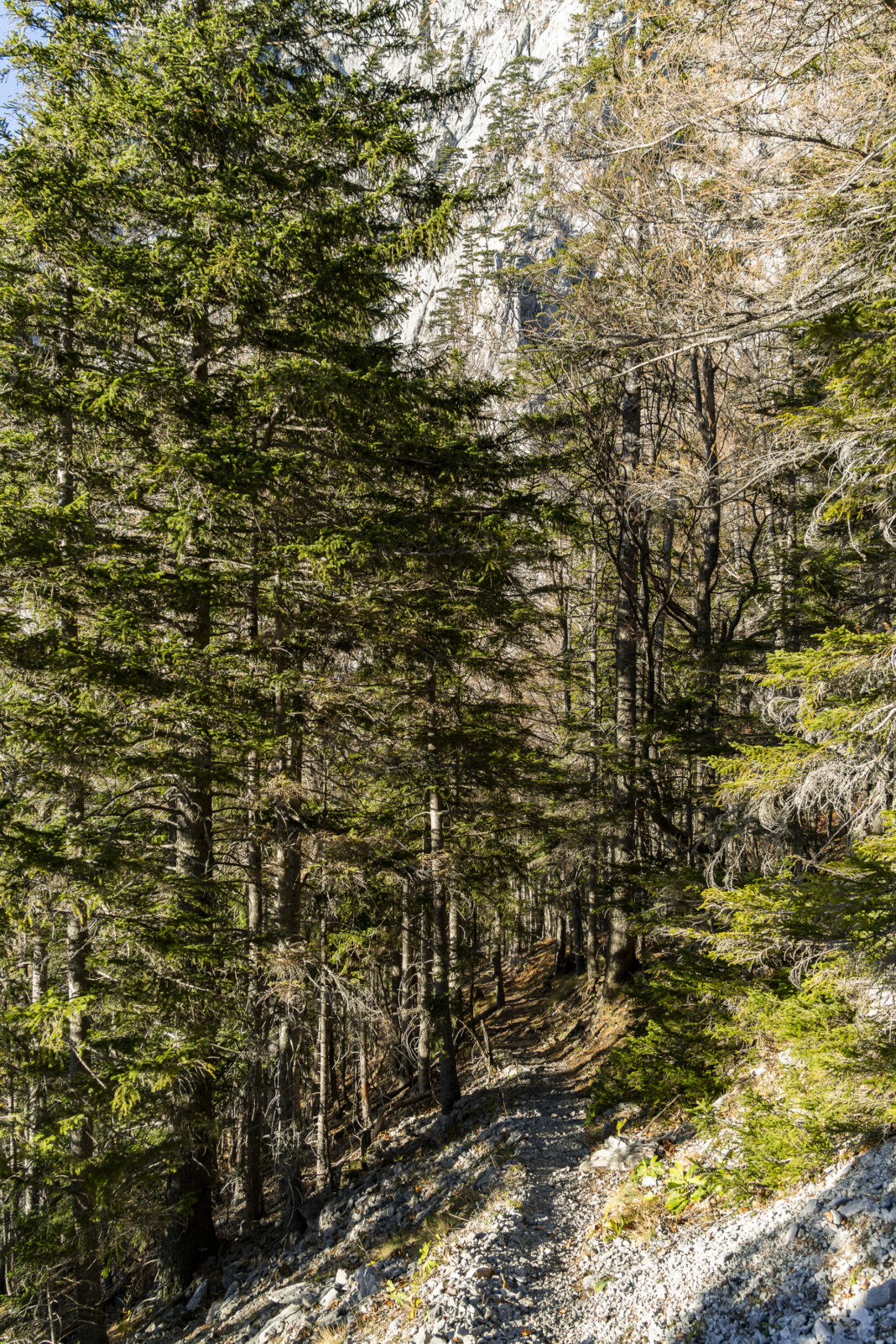 Abstieg im Stadelwandgraben