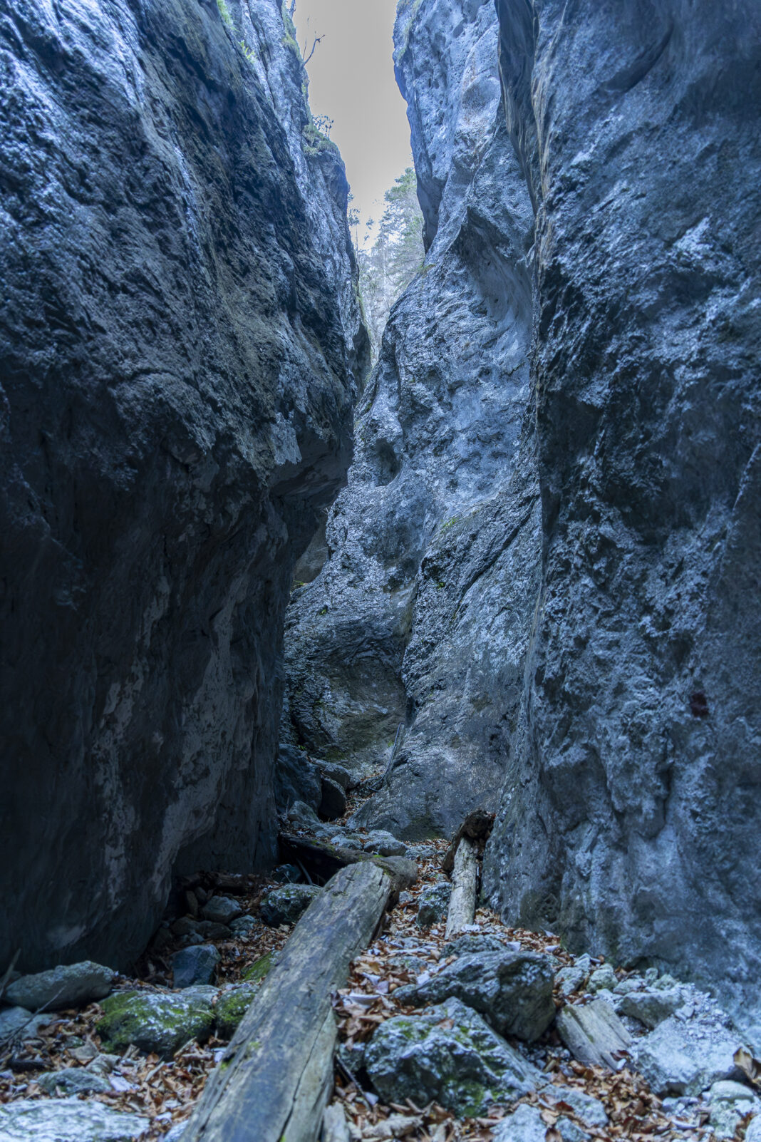Unterwegs in der Weichtalklamm