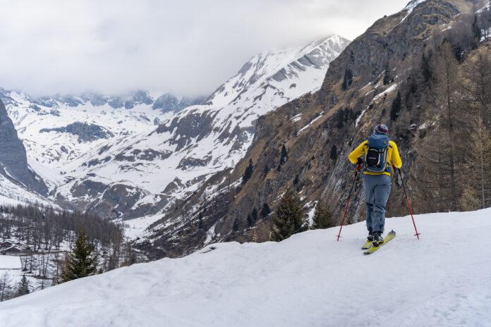 Blick von der Forststraße ins Teischnitztal