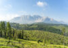 Eggental: Schroffe Dolomiten-Dramatik und sanfte Bergmomente Der Latemar im Eggental