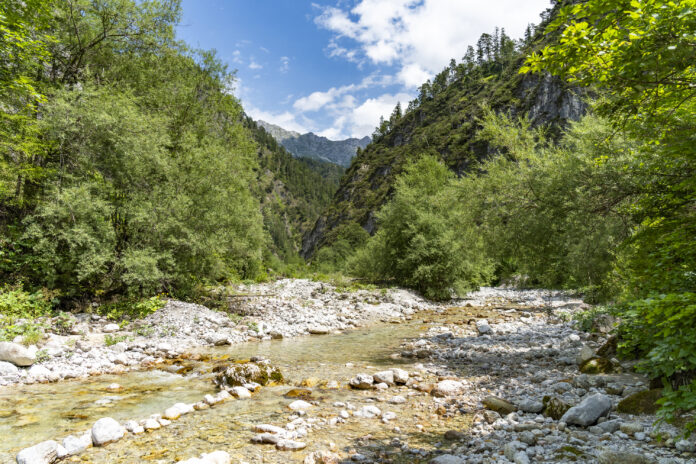 Der Buchweißbach im Stoissengraben