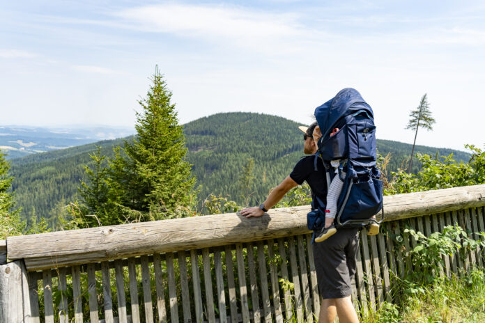 Weiter oben öffnen sich Blicke über die umliegende Berg- und Hügellandschaft der Buckligen Welt und des Wechsellands