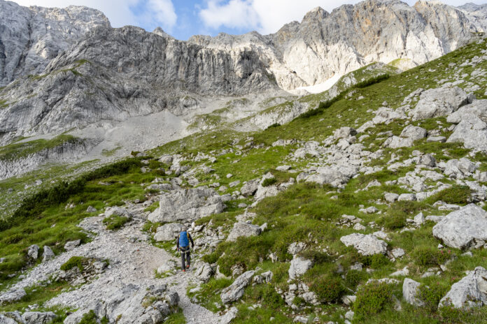 Am Grünen Buckel ist meist einfaches Gehgelände