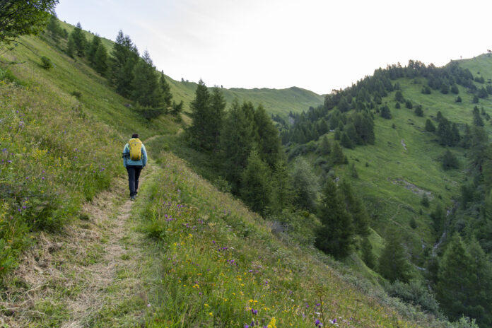 Im unteren Teil des Tals über dem Schragerbach
