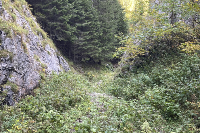 Weg durch den Großen Kesselgraben